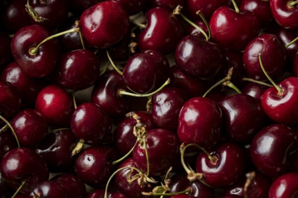 Bing Cherries